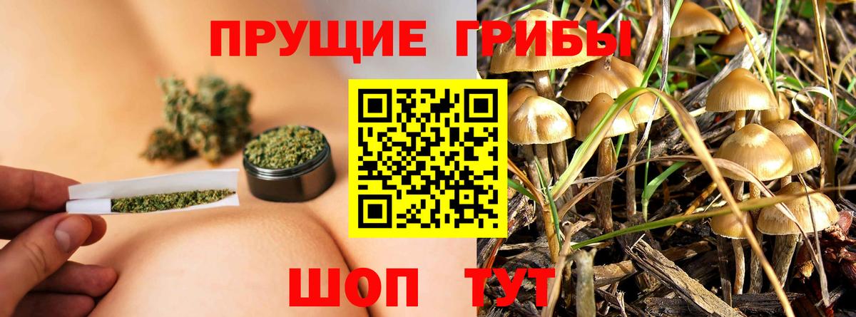 Псилоцибиновые грибы MAGIC MUSHROOMS  Псилоцибиновые грибы MAGIC MUSHROOMS  Чита  Вход с VPN 